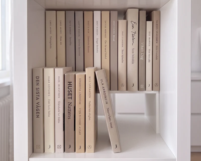 Kallax Einsatz für Bücher | Fachteiler für 2 Reihen Bücher & DVDs