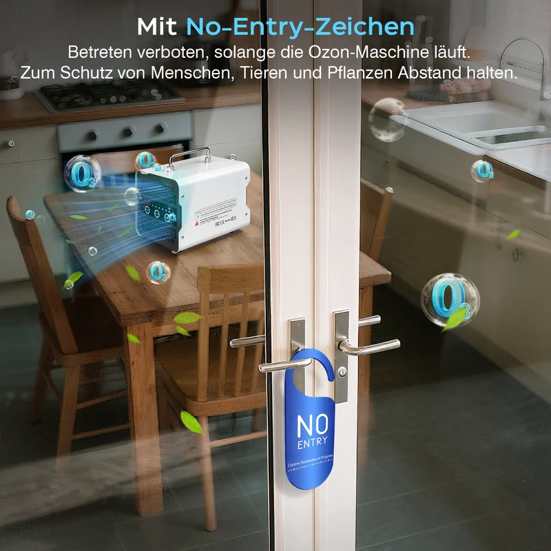 Ozongerät 65.000 mg/h für Auto, Hotel & Gewerbe – Ozon Generator zur Geruchsentfernung