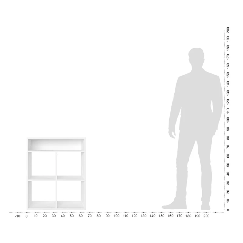 Cube Shelf RIM4