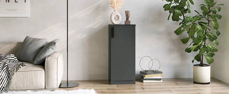 Cabinet CABI 35