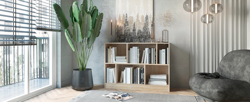 Bookcase Rectolibra