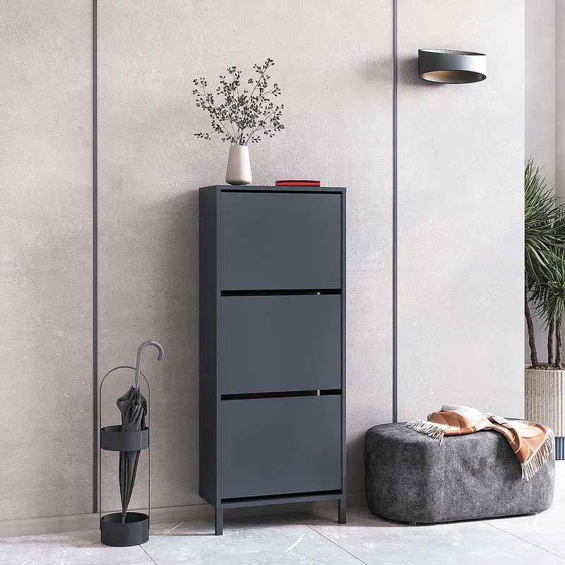 Shoe Cabinet Trek 3