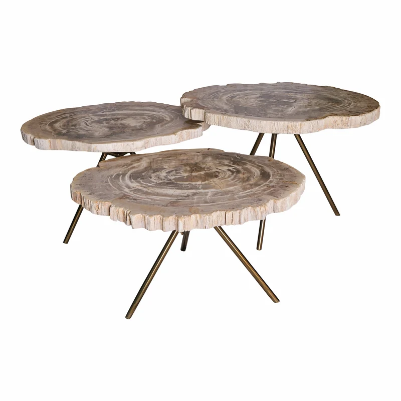 Couchtische versteinertes Holz, 3er Set Couchtische Bronze Tischbeine, Durchmesser ca. 48-50-60 cm