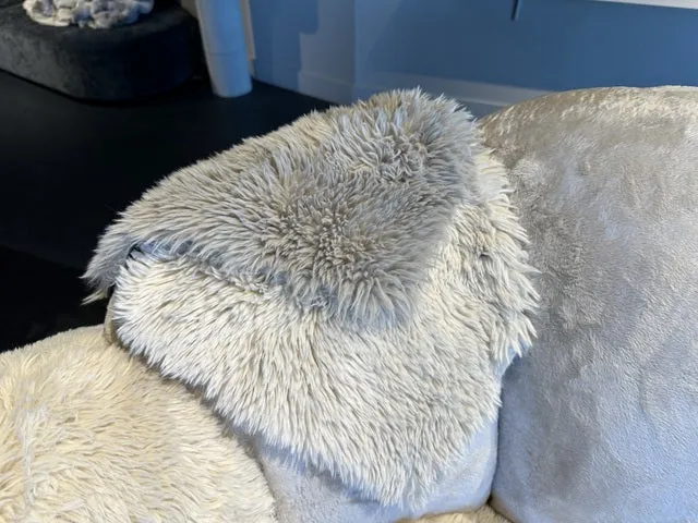 2-3 Sitzer Sofa taupe Kunstfell, Sitzsofa taupe Plüsch, Breite 238 cm