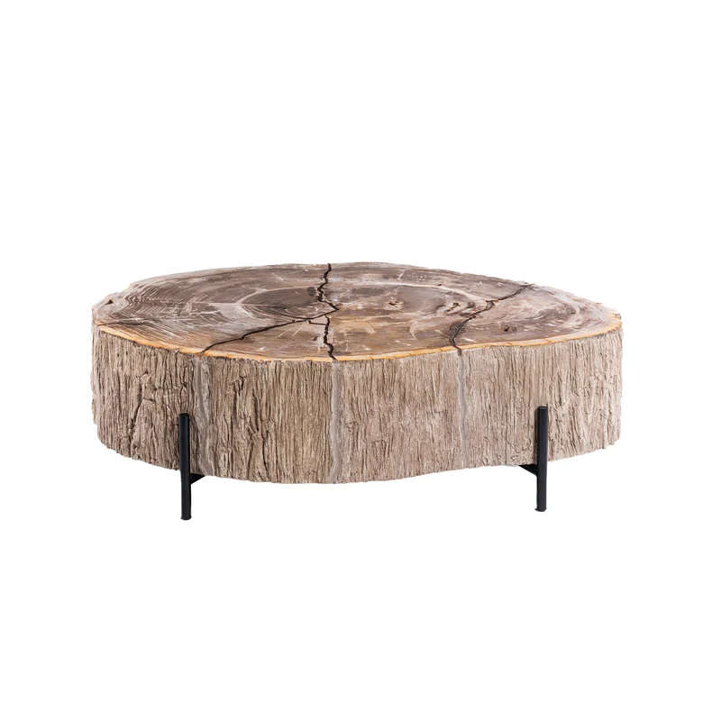 Couchtische versteinertes Holz, Länge 120 cm