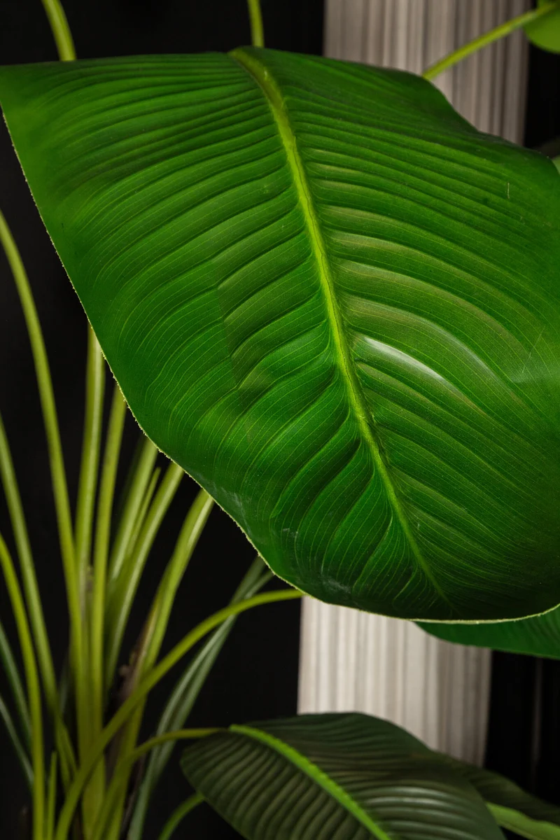 Künstlicher Bananenbaum XXL, Deko-Bananenpflanze grün, Kunstpflanze Bananenstaude grün, Höhe 310 cm