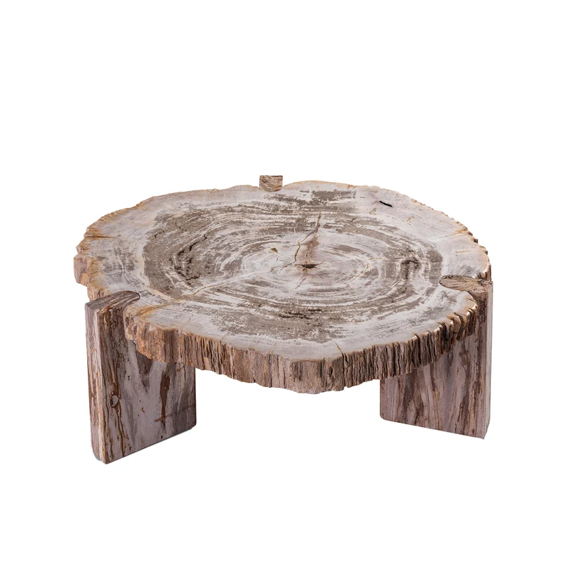 Couchtisch Holzstein, 2er Set Couchtisch beige Unikat, Durchmesser 75-85 cm