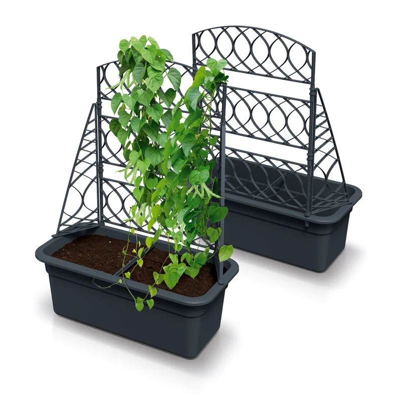 Kompaktes Spalier 'Bloomie' in Anthrazit (Set wählbar)